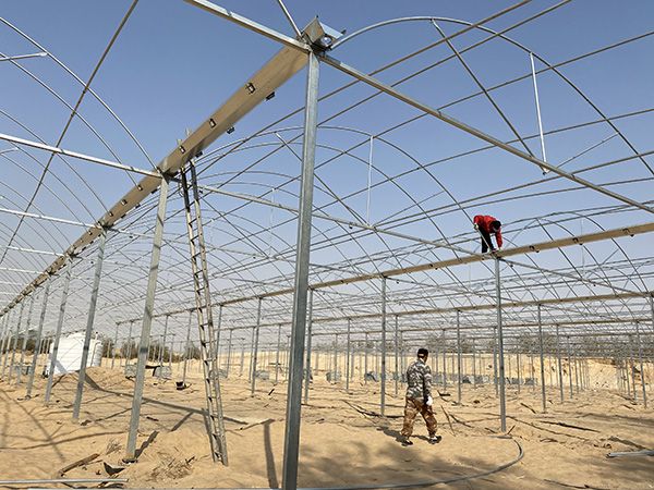 沙特阿拉伯連棟陽光板溫室51200平方